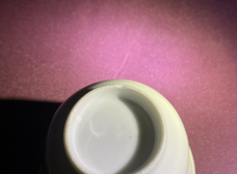清晚期 青花仙人乘槎图仰钟杯 - 图12