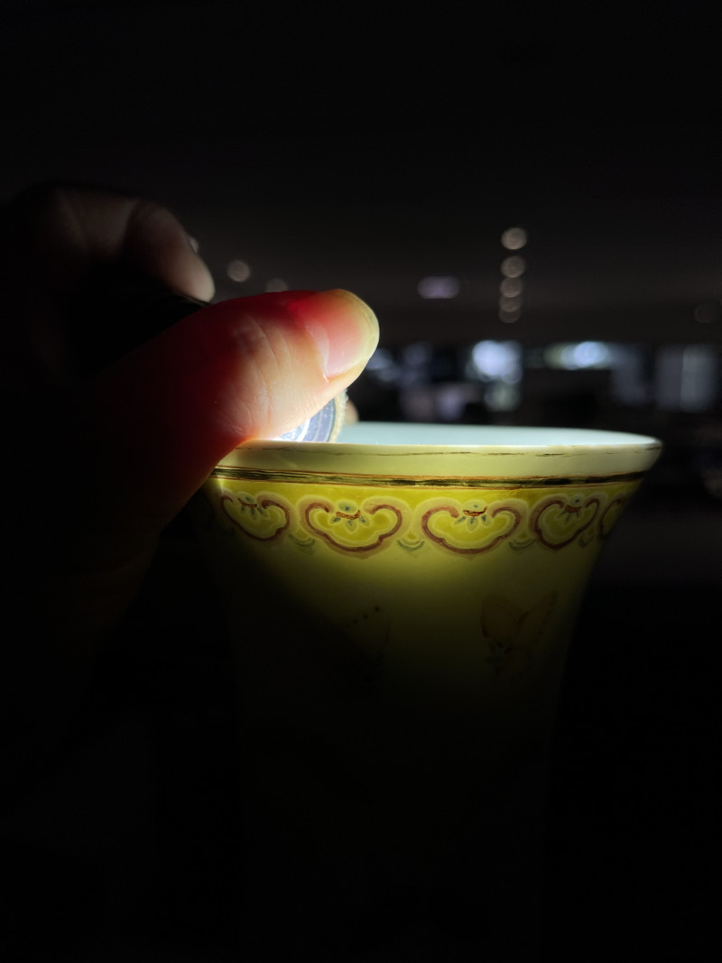 清光绪 粉彩百蝶纹赏瓶 - 图12