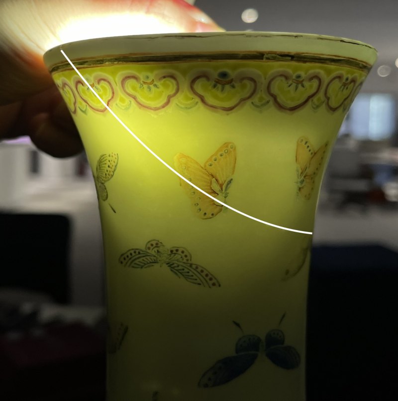 清光绪 粉彩百蝶纹赏瓶 - 图13