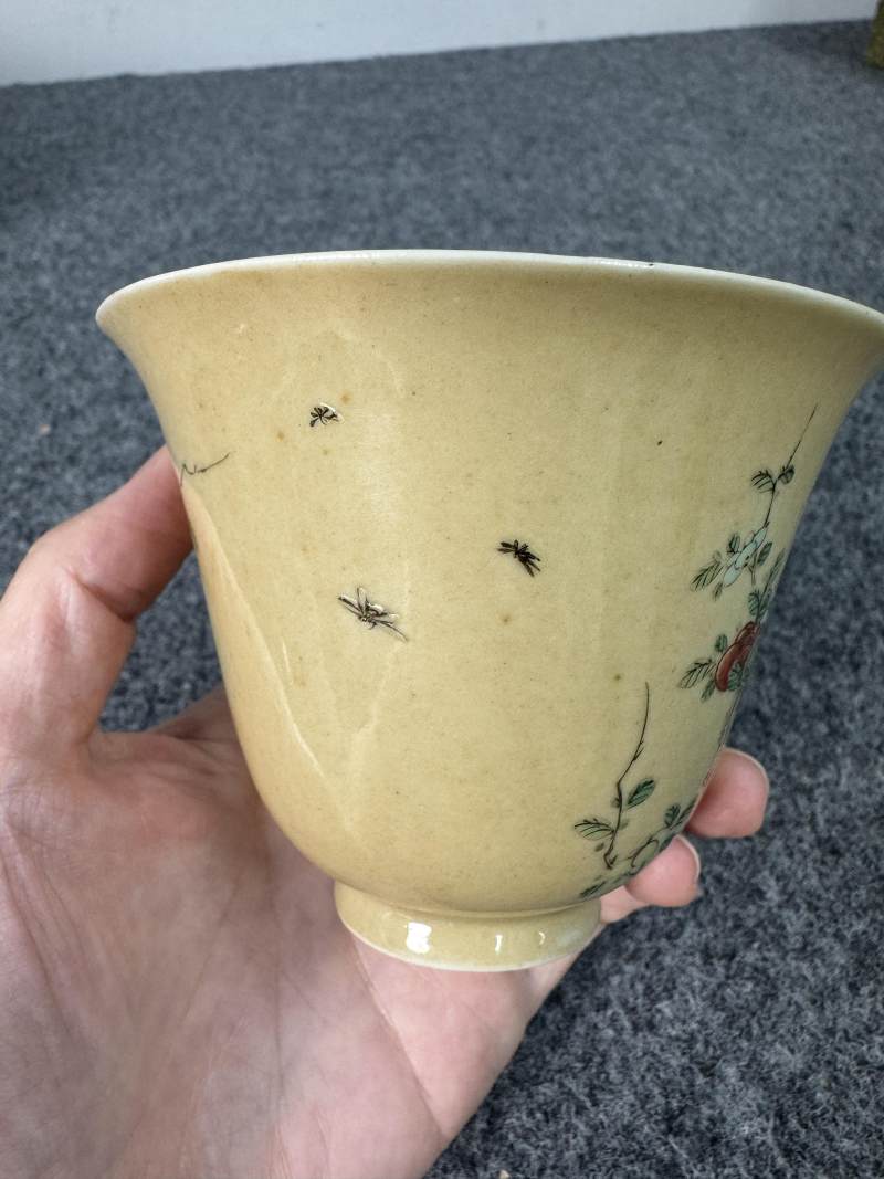 清康熙 米黃地五彩花鳥紋杯一對 - 图5