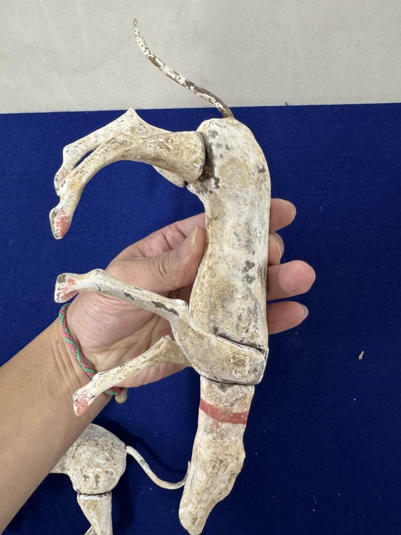 灰陶行犬一對 - 图6