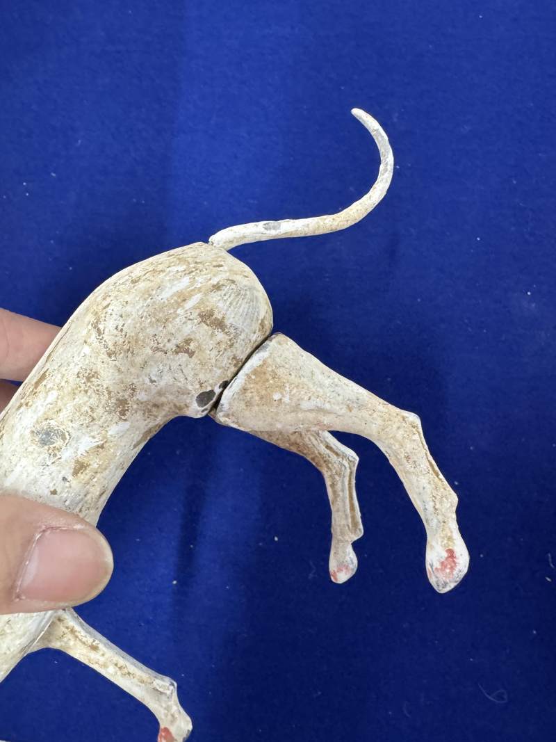 灰陶行犬一對 - 图7
