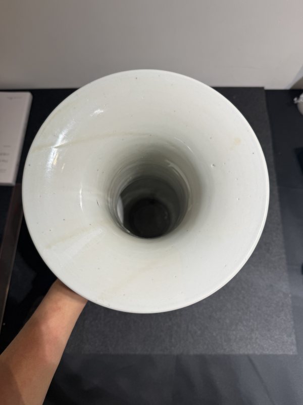 清康熙青花月影玉蘭梅花紋鳳尾尊 - 图6