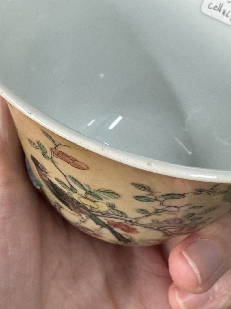 清康熙 米黃地五彩花鳥紋杯一對 - 图14