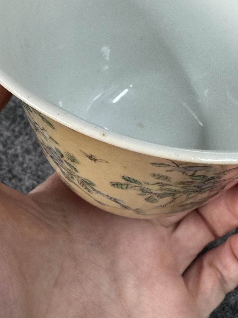 清康熙 米黃地五彩花鳥紋杯一對 - 图15