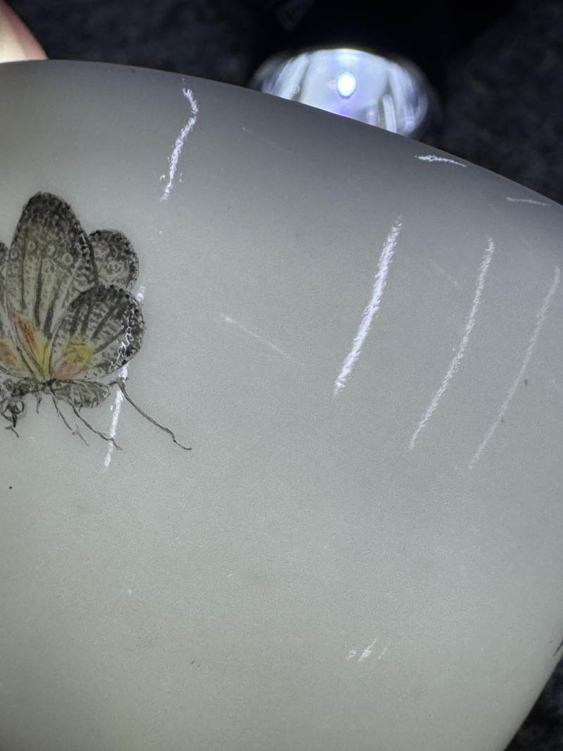 清雍正 彩或為民國後加 粉彩花蝶紋杯 - 图12