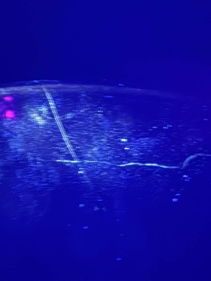 黑釉菊瓣紋鐵鏽斑碗 - 图12