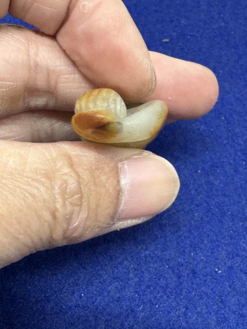 玉胡人、玉人和瑪瑙童子持靈芝各一件 - 图25