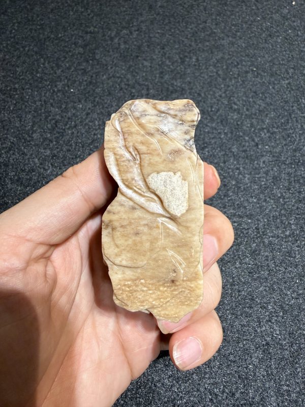 明 灰白玉馬 - 图6