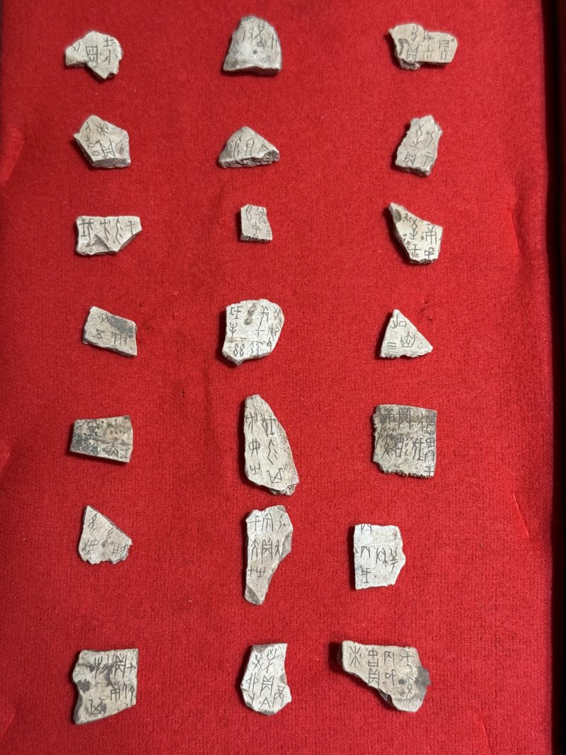 殷商 甲骨一百二十四枚 - 图12