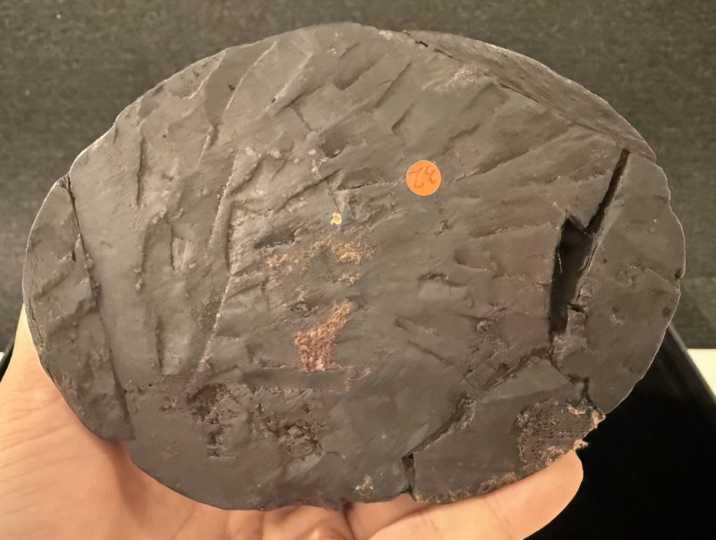 16世紀西藏紫檀漆金綠度母像 - 图7