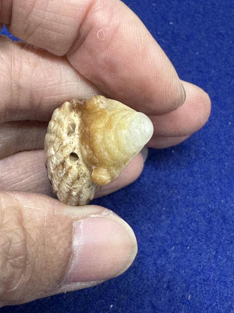 玉胡人、玉人和瑪瑙童子持靈芝各一件 - 图37