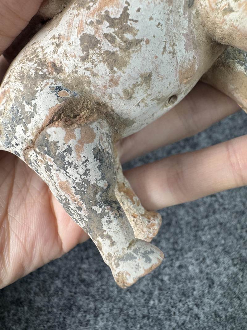 灰陶彩繪騎牛俑 - 图8