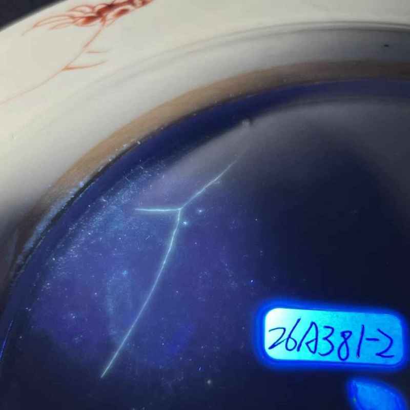 清雍正 粉彩花卉纹盘 - 图11