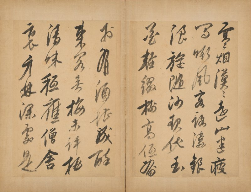 梁蕙 - 图3