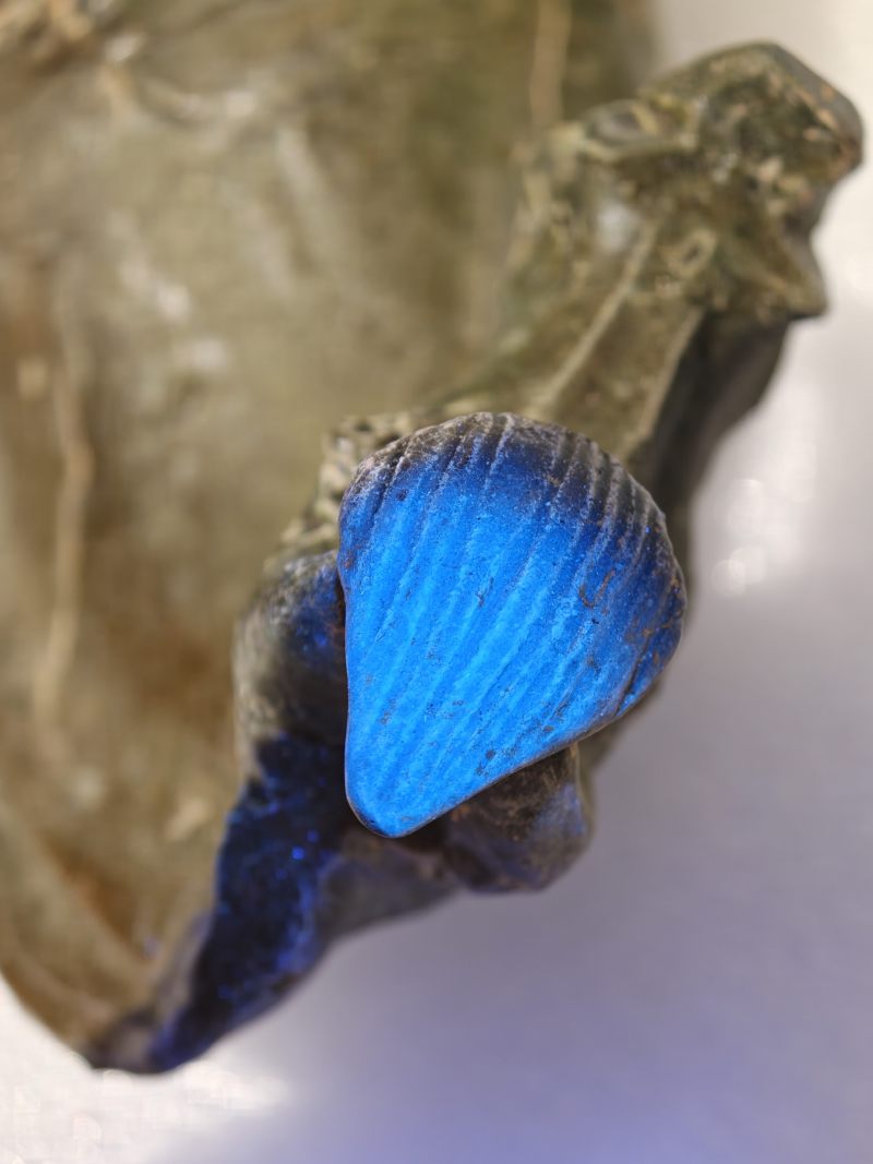 东汉 褐绿釉陶马及牵马俑 - 图31