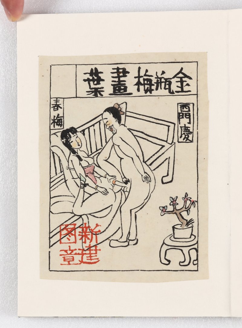 朱新建 - 图4