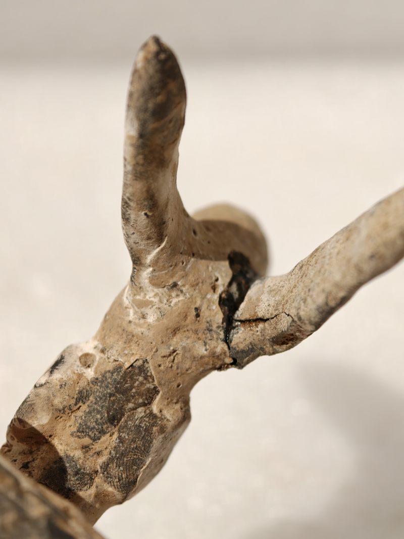 东汉 彩绘灰陶三层多枝灯 - 图82