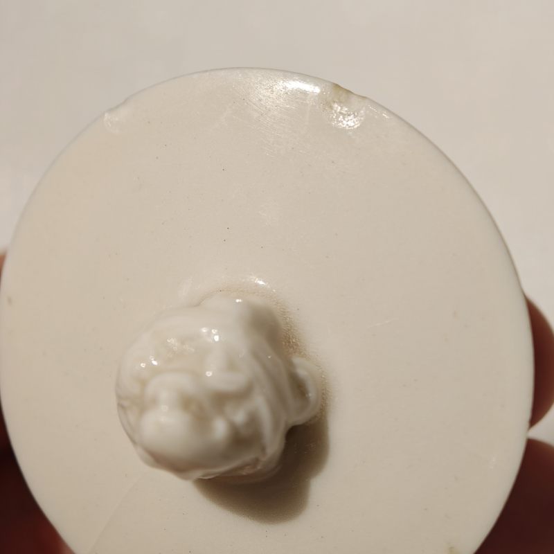 明晚期 德化窑螭龙纹茶壶 - 图10