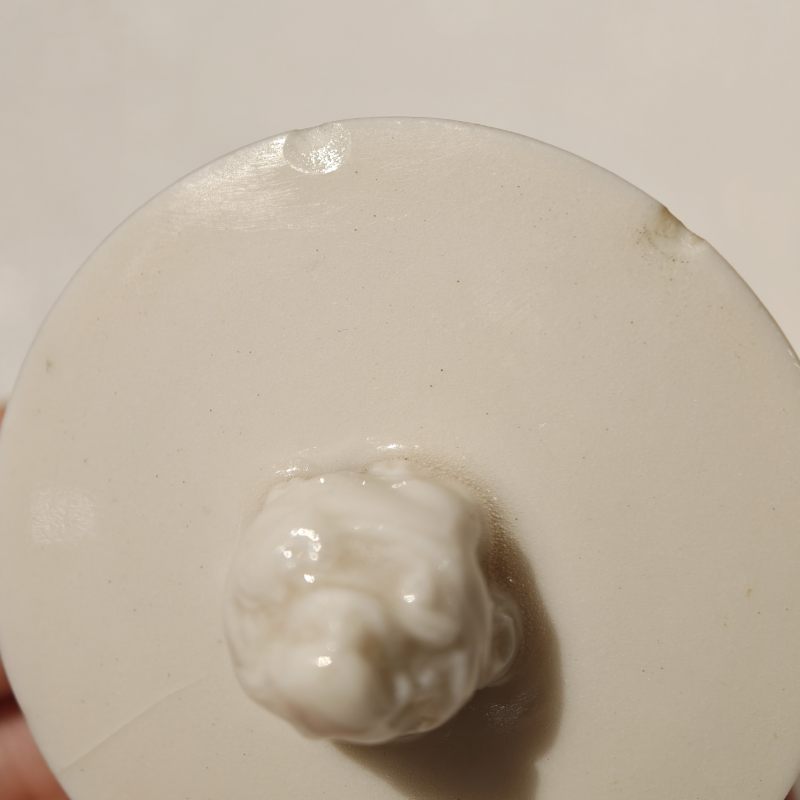 明晚期 德化窑螭龙纹茶壶 - 图11