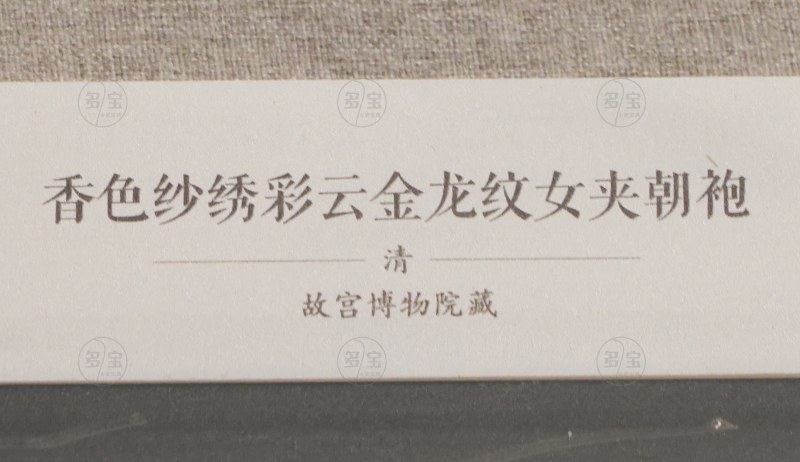清 香色纱绣彩云金龙纹女夹朝袍 - 图2