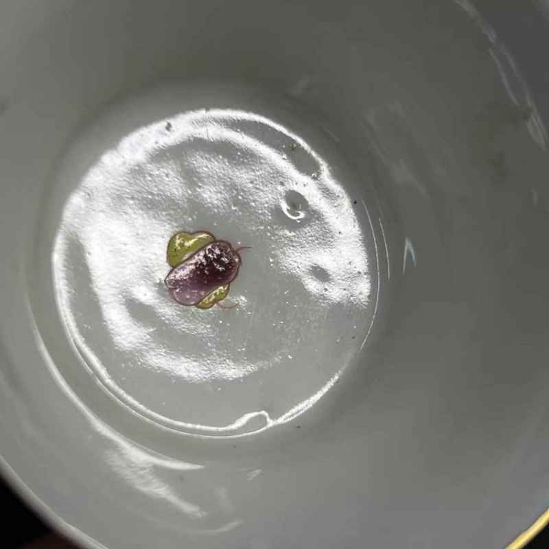 清雍正 仿木纹粉彩富贵如意图杯碟一套 - 图4