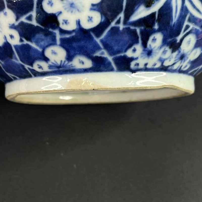 清道光 青花冰梅罐 - 图11