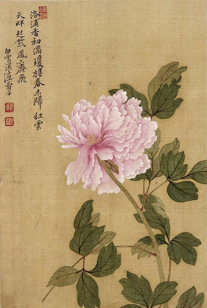 清康熙 御制磁胎画珐琅胭脂紫地牡丹纹碗 - 图12