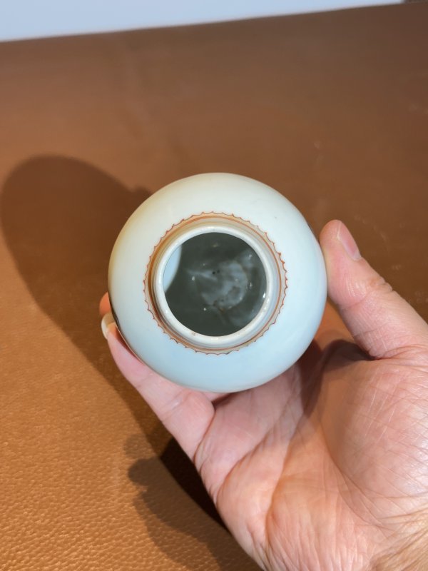 清乾隆 墨彩锦鸡图梅瓶 - 图5