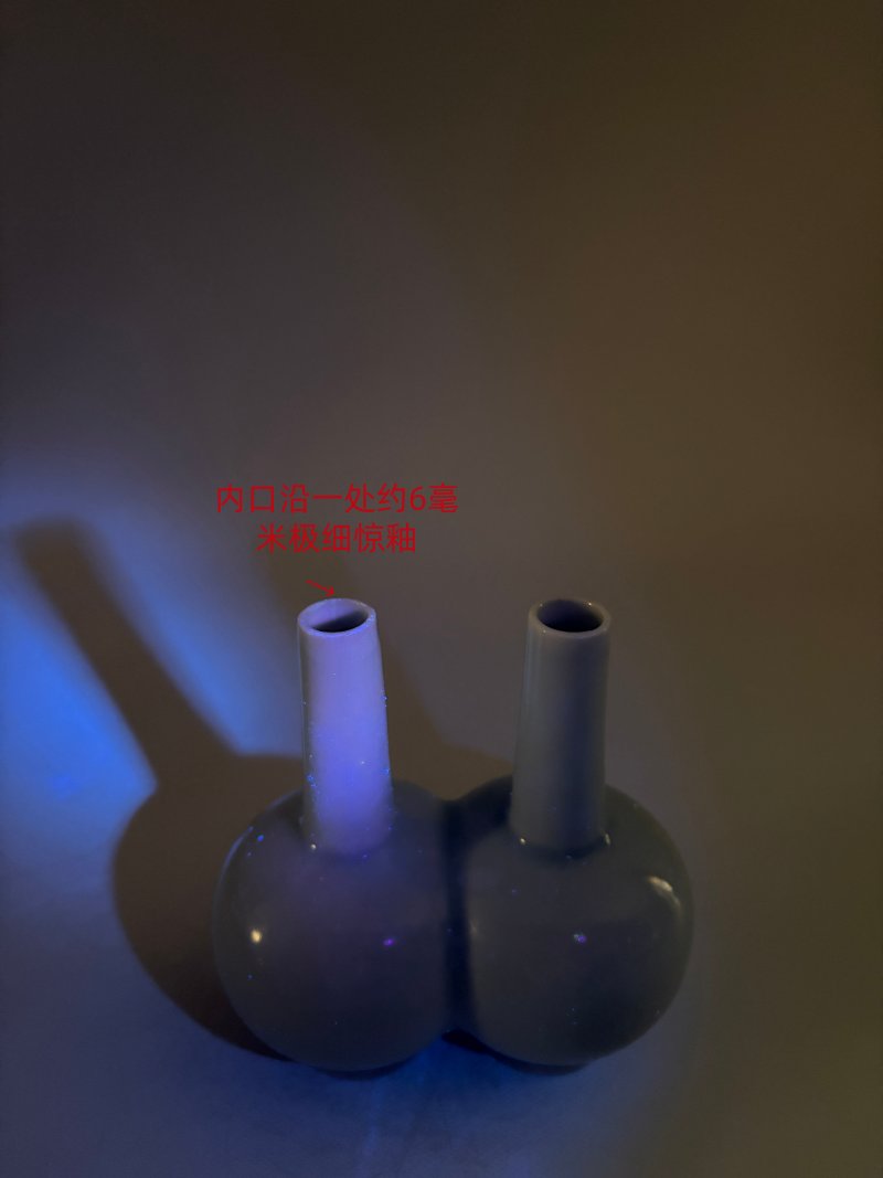 清雍正 御制粉青釉双联瓶 - 图21