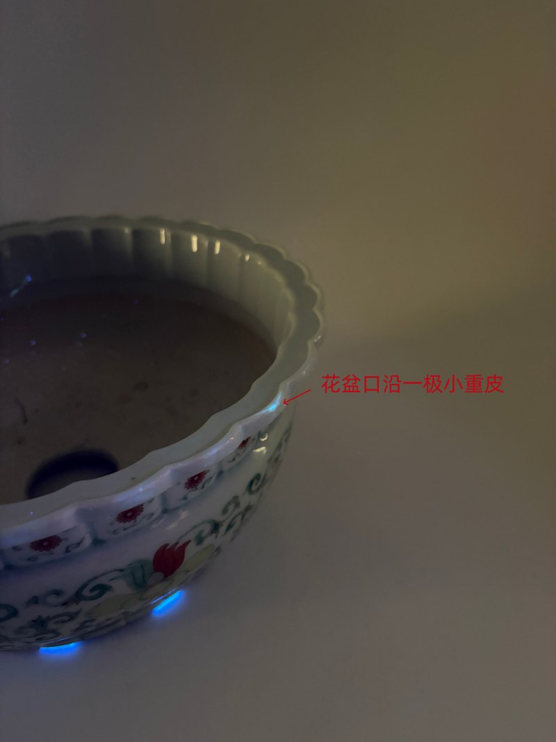 清雍正 五彩花卉纹花口盆及托盘一套 - 图29
