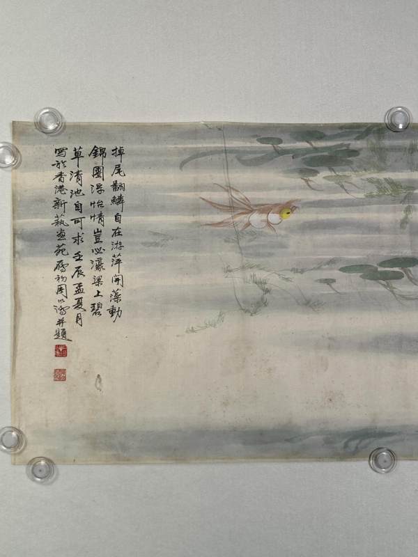    周以鸿 金鱼 - 图5