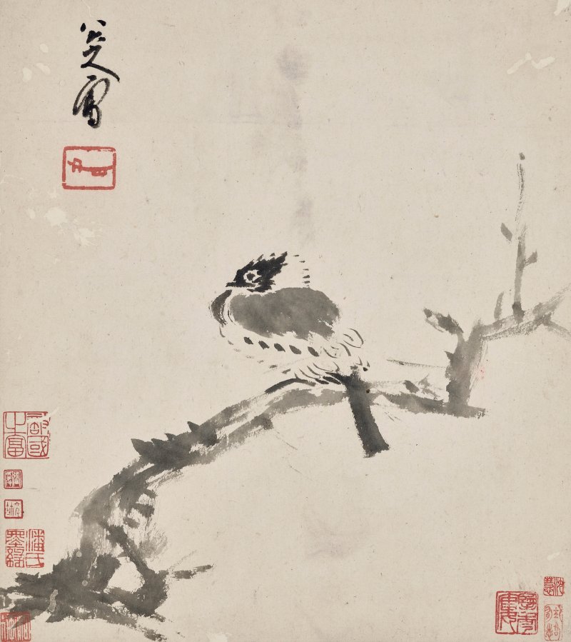 清 八大山人（1626-1705）  水墨花鳥冊 - 图7