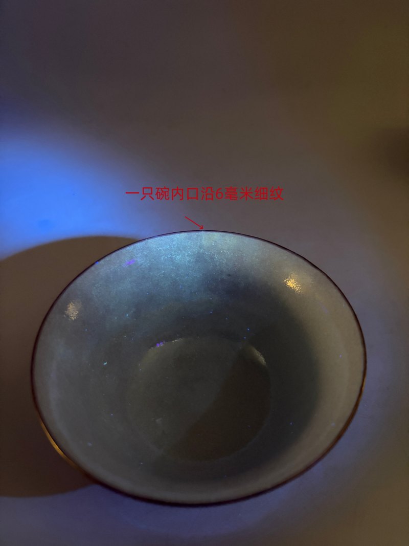清道光 珊瑚红地粉彩凤鸣在竹盖碗一对 - 图28