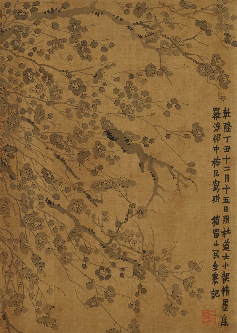 清 金農（1687-1763）  墨梅 - 图1