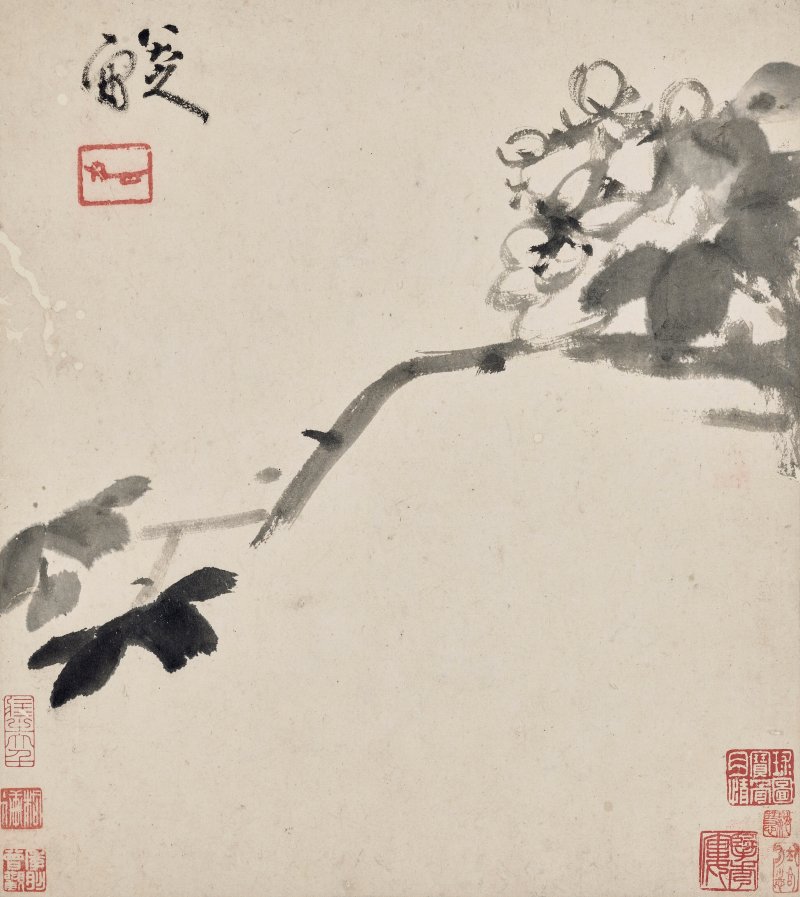 清 八大山人（1626-1705）  水墨花鳥冊 - 图8