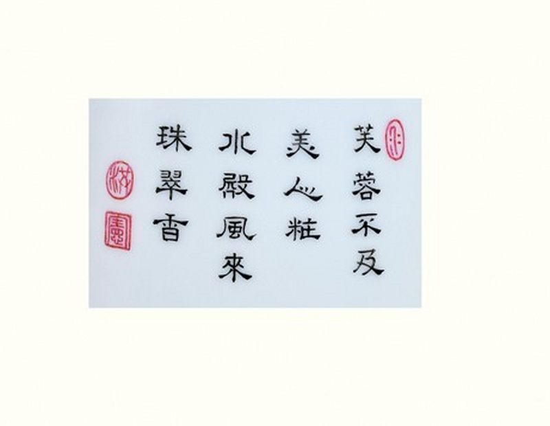 民国 洪宪御制珐琅彩仕女图瓶 - 图2
