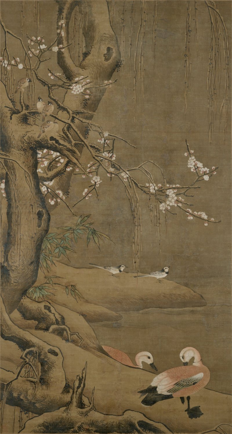 明 呂紀（傳，1475-1503）  梅柳聚禽圖 - 图1