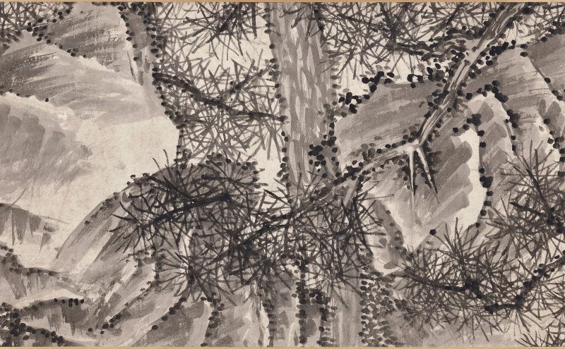 明 沈周（1427-1509）  大夫松書畫卷 - 图13