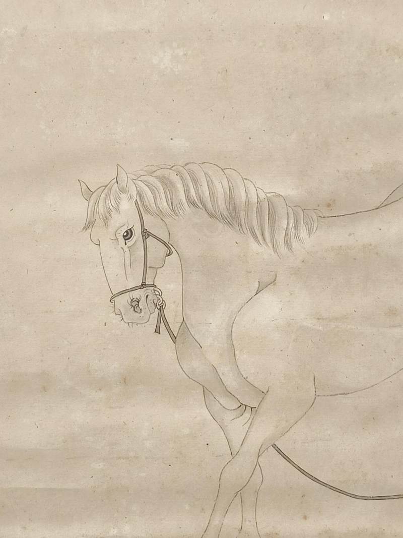    刘源沂 白描马 - 图4