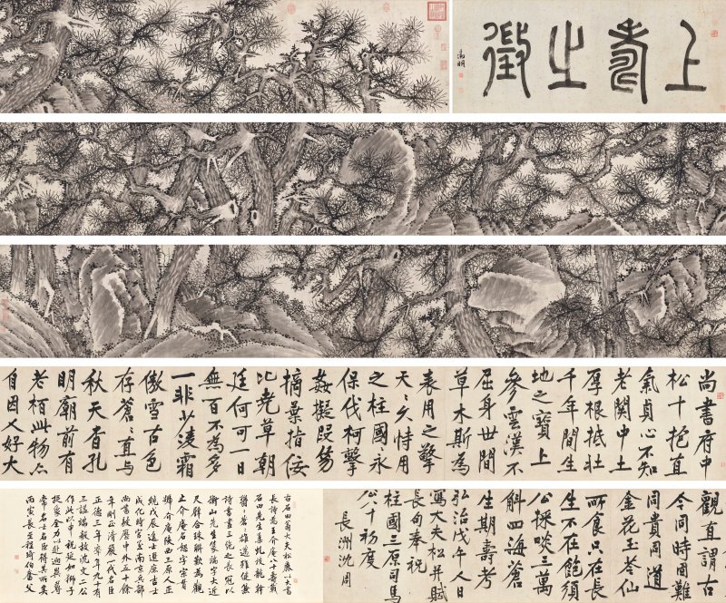 明 沈周（1427-1509）  大夫松書畫卷 - 图1