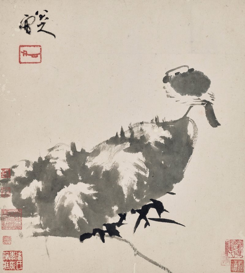 清 八大山人（1626-1705）  水墨花鳥冊 - 图9