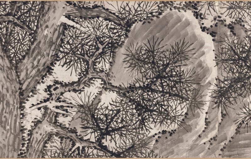明 沈周（1427-1509）  大夫松書畫卷 - 图10