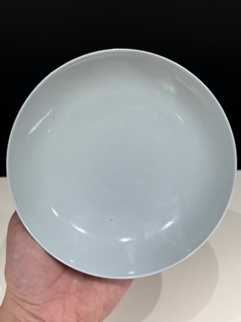 清雍正 墨地粉彩缠枝莲纹盘 - 图3