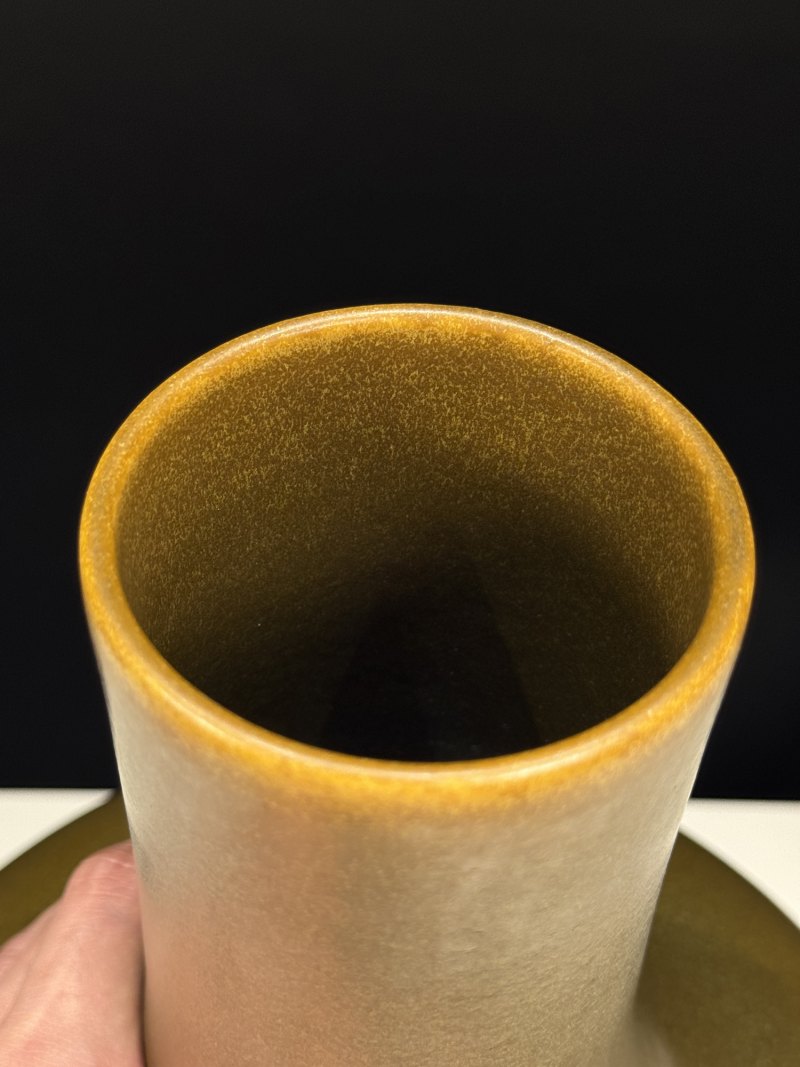 清光绪 茶叶末釉荸荠瓶 - 图7