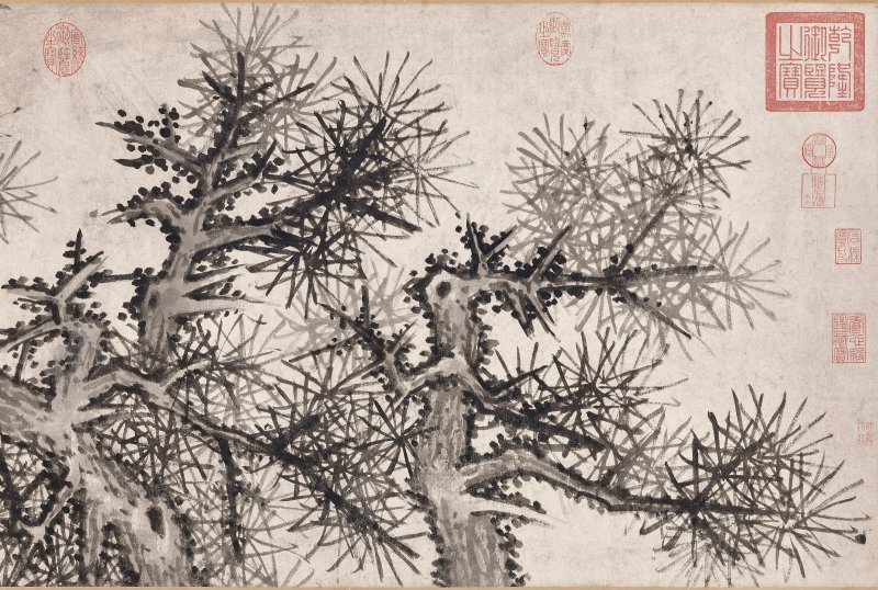明 沈周（1427-1509）  大夫松書畫卷 - 图5