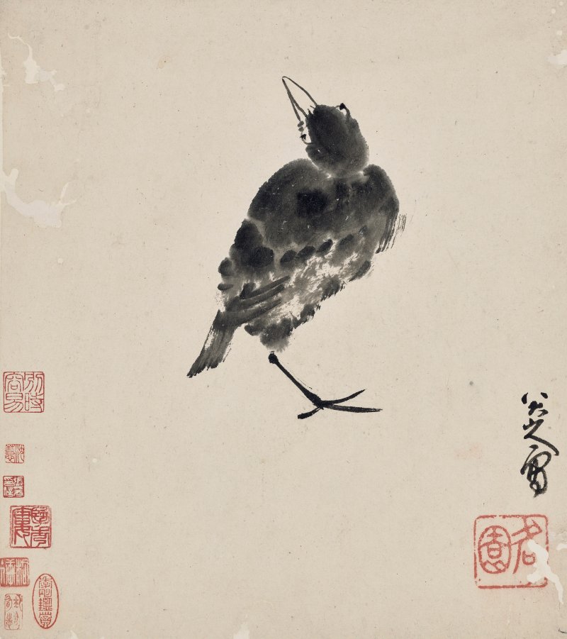 清 八大山人（1626-1705）  水墨花鳥冊 - 图5