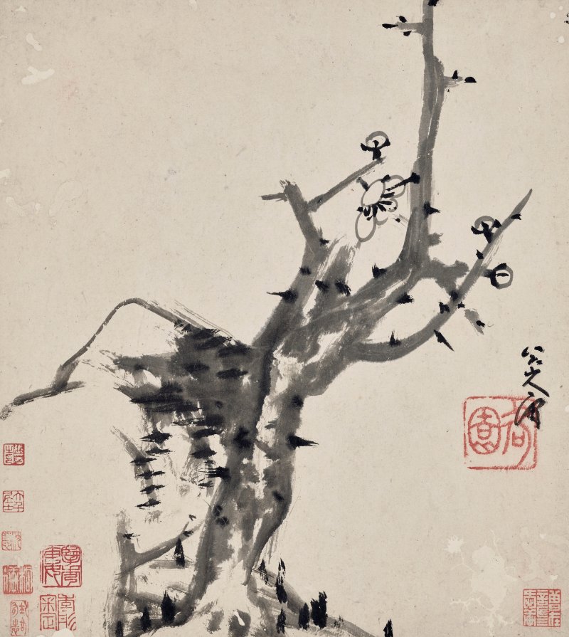 清 八大山人（1626-1705）  水墨花鳥冊 - 图13