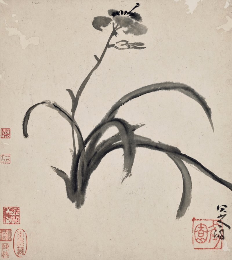 清 八大山人（1626-1705）  水墨花鳥冊 - 图2