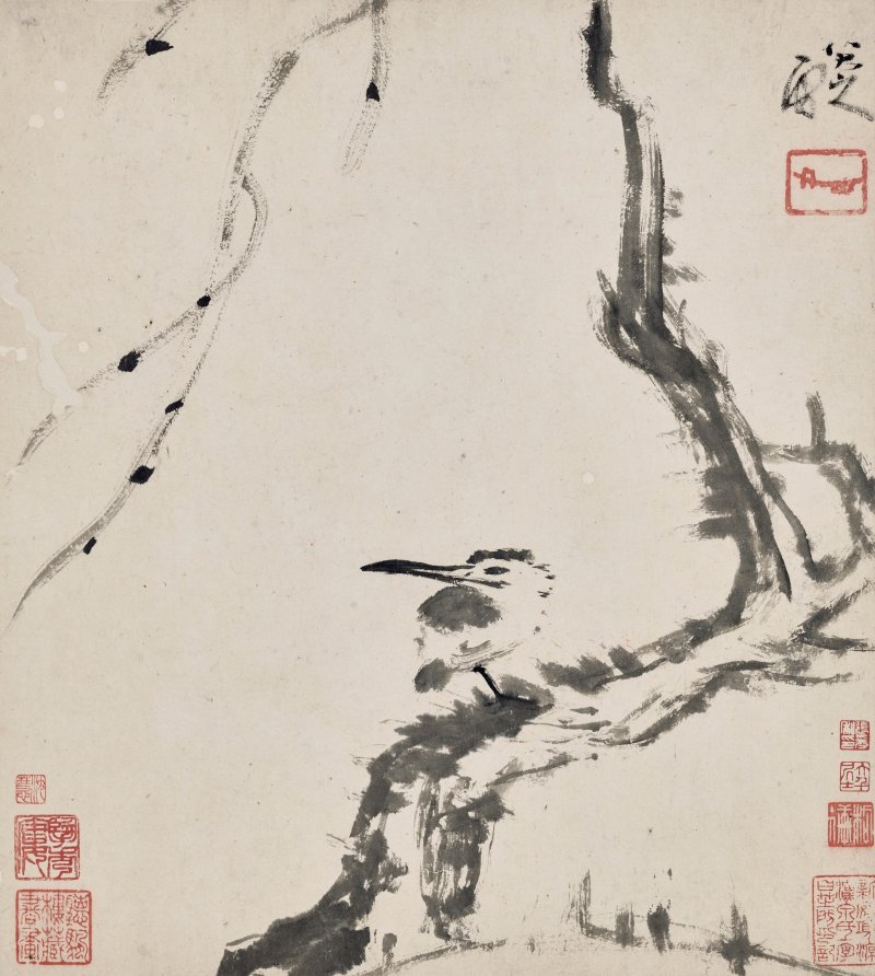 清 八大山人（1626-1705）  水墨花鳥冊 - 图3